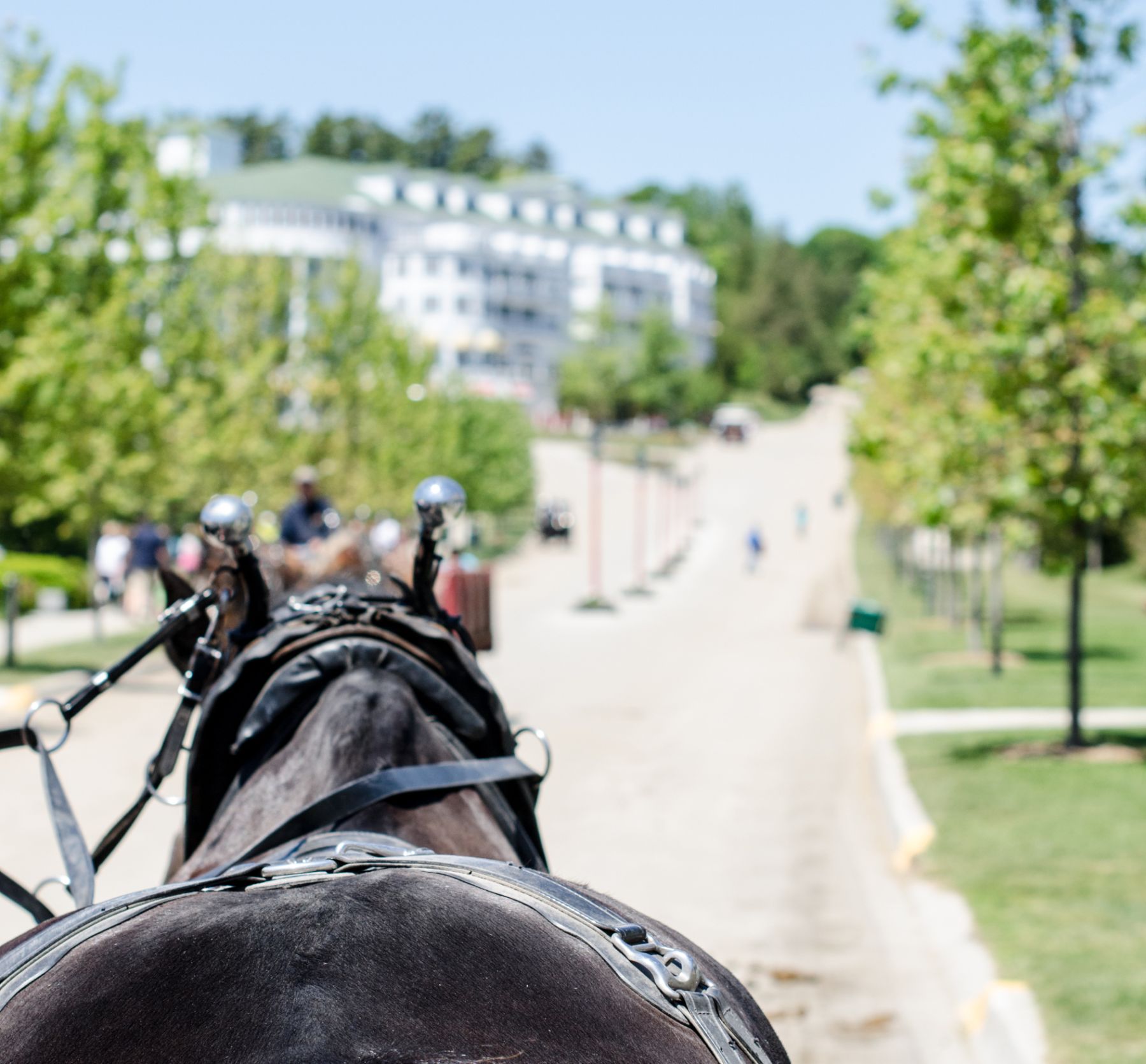 The Gossip Column: August 4, 2023